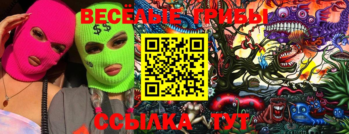 Галлюциногенные грибы Cubensis  Вход с VPN  Псилоцибиновые грибы прущие грибы  Ульяновск 